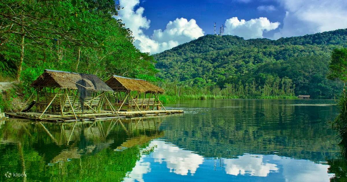 Lake Danao and Pineapple Plantation Private Day Tour from Leyte Klook